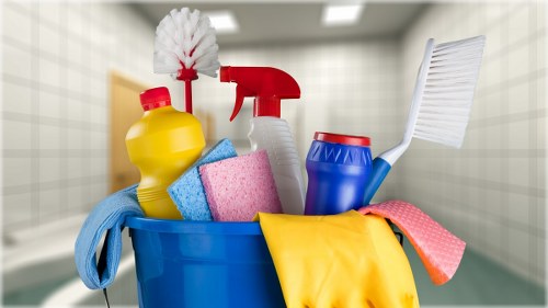Professional carpet cleaning service in a Watford home