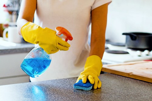 Local domestic cleaner handling home cleaning in Watford