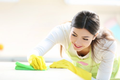 Pricing estimate for carpet cleaning in a family house
