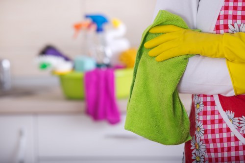 Odour removal treatment for a pet-soiled sofa in Watford