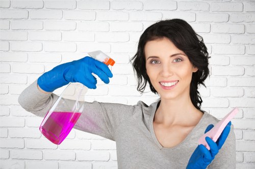 Accessibility request support for local carpet cleaning information